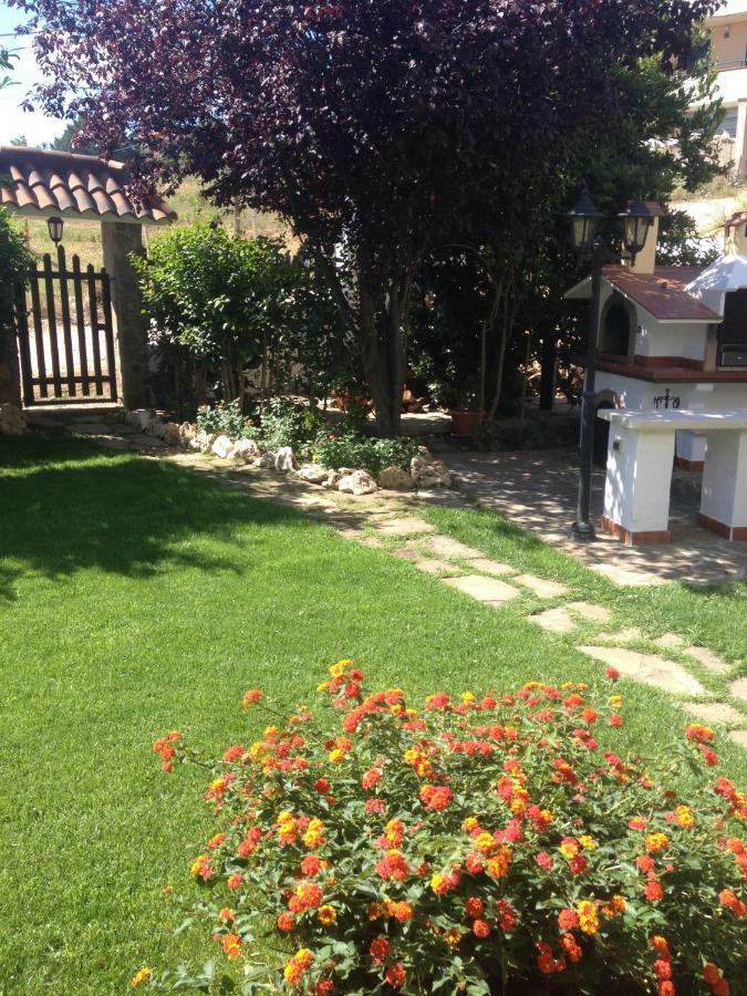 Domus Dams B&B Montescaglioso Exterior foto